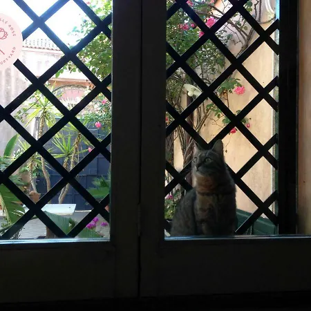 Bed & Breakfast Cortile Delle Rose