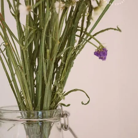 Cortile Delle Rose Bed & Breakfast Viagrande