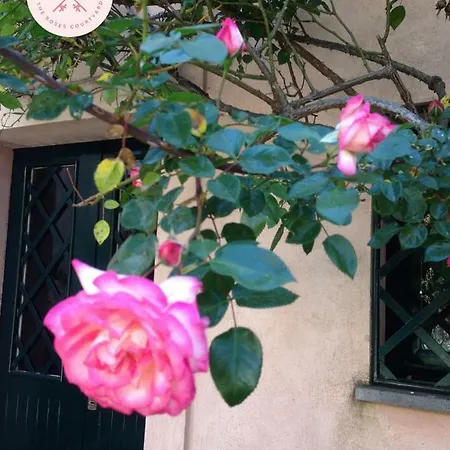 Bed and breakfast Cortile Delle Rose *